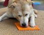 SodaPup Lick Mat - Enrichment EMAT with Zombie Design - Orange - Large