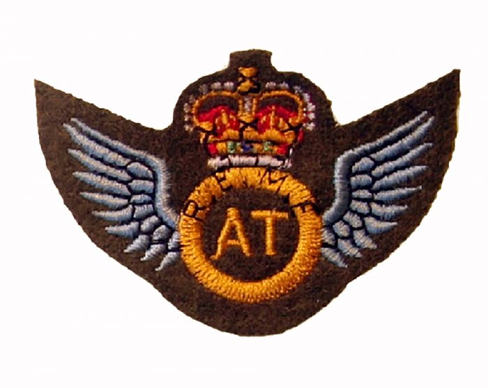 Aircraft Technicians Wings REME Badge Qualification