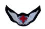 RAF Flight Nursing Attendant Badge 