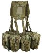 British Terrain Pattern MOLLE Airborne Webbing Back