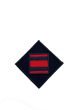 23 Parachute Engineer Regiment DZ Flash