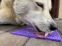 sodapup-purple-lick-mat-with-bones-design