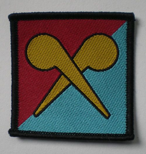 NBC (Nuclear, Biological and Chemical) Regiment Tactical Recognition Flash