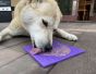 sodapup-purple-lick-mat-with-bones-design