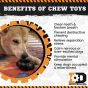 sodapup-black-tyre-benefits-of-chew-toys-sheet