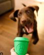 Sodapup Coffee Cup - Medium Green