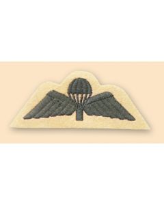 Light Infantry Cloth Para Wings