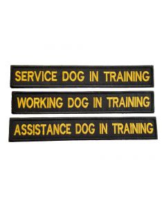 Dog-in-training-patches