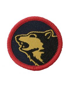 104th Logistics Support Brigade TRF