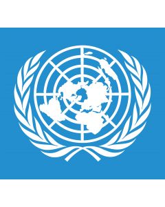 United Nations Vinyl Decal / Sticker