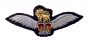 Pilot Badge Qualification (Army Air Corps) Wings