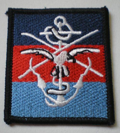 Compulsory Drug Testing Team (CDTT) Arm Badge